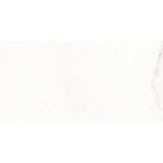 Obklad Rako Vein biela 30x60 cm mat WAKVK233.1