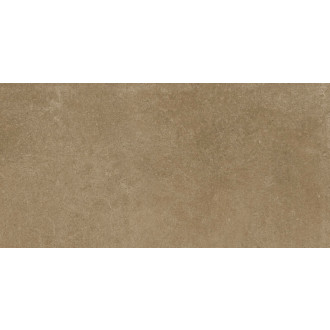 Dlažba Fineza Project hnedá 30x60 cm mat DAKSR375.1