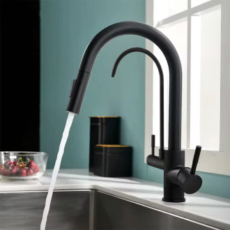 REA Kuchynská batéria Eco Fresh black mat -B7564 REA-B7564