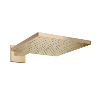 Hlavová sprcha Hansgrohe Raindance E na stenu kartáčovaný bronz 26238140