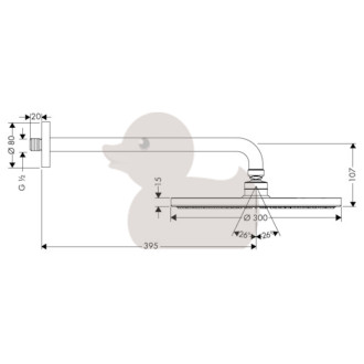 Hlavová sprcha Hansgrohe Raindance S na stenu vrátane sprchového ramena chróm 27493000