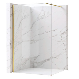 REA Sprchová zástena Flexi Transparent / Brush Gold 120 KPL-K99260