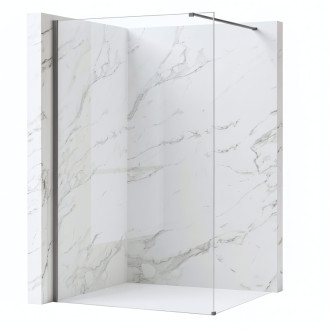 REA Sprchová zástena Flexi Transparent / Titan 120 KPL-K99460