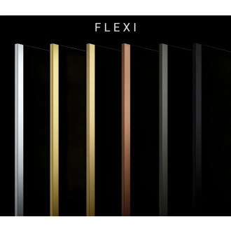 REA Sprchová zástena Flexi Grey / Brush Gold 100 KPL-K99284