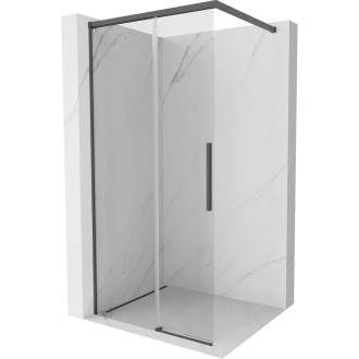 Mexen Rox Sprchová zástena Walk-in 100 x 200 cm, 8 mm priehľadná, kartáčovaná pištoľovo sivá - 8C2-100-003-66-00