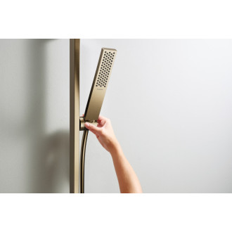 Ruční sprcha Hansgrohe Pulsify E kartáčovaný bronz 24320140
