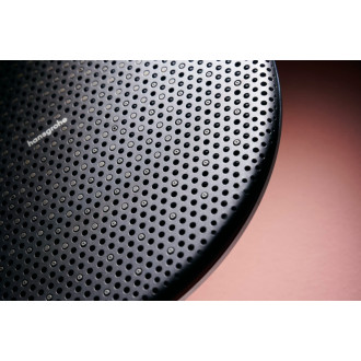 Hlavová sprcha Hansgrohe Raindance Alive S na stenu vrátane sprchového ramena matná čierna 24541670