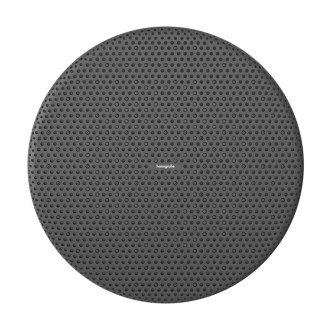 Hlavová sprcha Hansgrohe Raindance Alive S na strop nebo na stěnu chrom 24520000