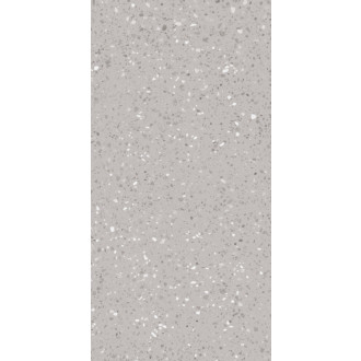 Dlažba Rako Porfido sivá 60x120 cm mat / lesk DASV1811.1