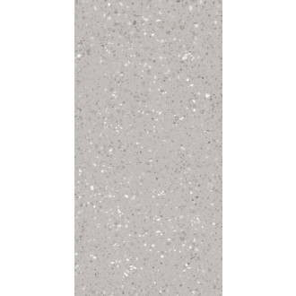 Dlažba Rako Porfido sivá 60x120 cm mat / lesk DASV1811.1