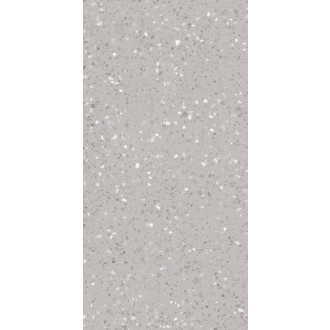 Dlažba Rako Porfido sivá 60x120 cm mat / lesk DASV9811.1