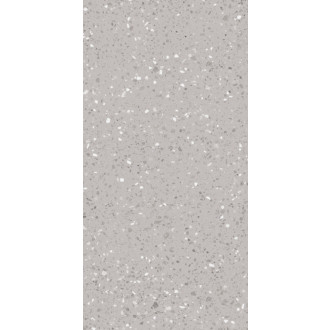 Dlažba Rako Porfido sivá 60x120 cm mat / lesk DASV9811.1