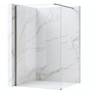 REA Sprchová zástena Flexi Transparent / Titan 70 KPL-K99468
