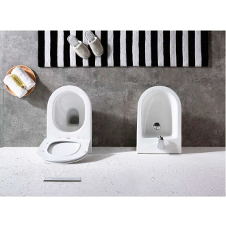 WC MISA Rea Carlo Rimless Duroplast