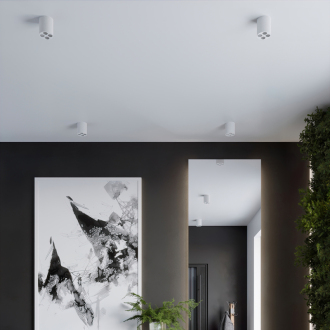 ZOE Stropné svetlo, biela LED SL.1209