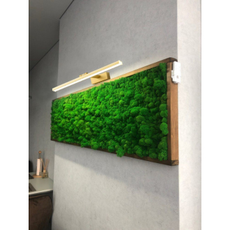 REA Nástenné svietidlo 40cm zlatá OSW-07011