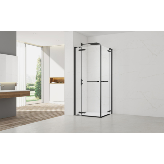Sprch. dvere SIKOTGD 100x120 SATTGDN120100C