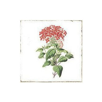 FORLI obklad Flowers Decor Mix 15x15 FOL011
