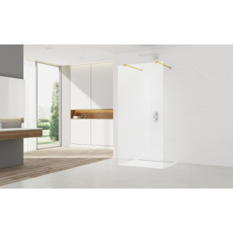 Sprchová zástěna SAT Walk-in 60 cm SATBWI60ZAVZ