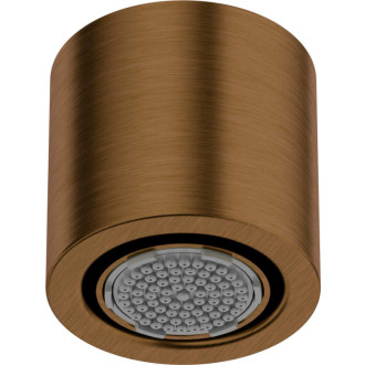 Deante Silia 1-funkční hlavová sprcha, kartáčovaný bronz NQS_C30K