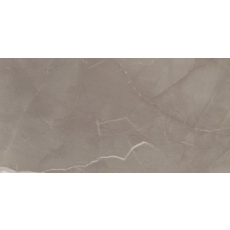 PASSION Lux Taupe 30x60 (1,08m2) 0PZW