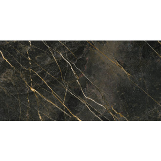 WACOM dlažba Forest Pulido 60x120 (1,44 m2) WAC001