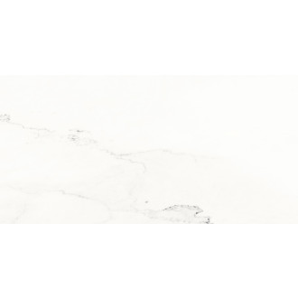 Obklad Rako Vein biela 30x60 cm lesk WAKVK133.1