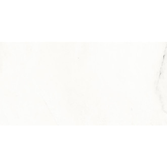 Obklad Rako Vein biela 30x60 cm lesk WAKVK133.1