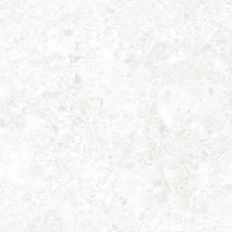 Dlažba Rako Atacama bielošedá 60x60 cm mat DAK62120.1