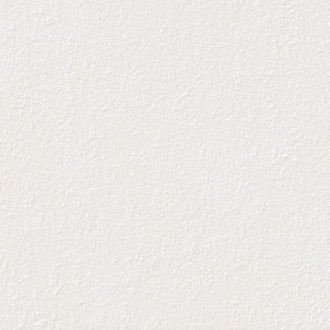 Dlažba Rako Betonico Outdoor bielošedá 60x60 cm mat DAR66790.1